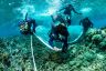 A partnership to save our Reef 